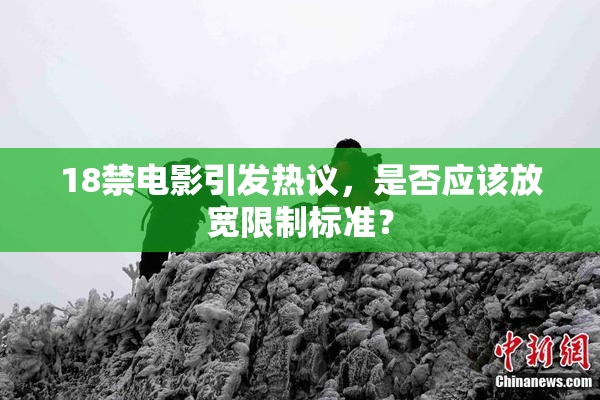 18禁电影引发热议，是否应该放宽限制标准？