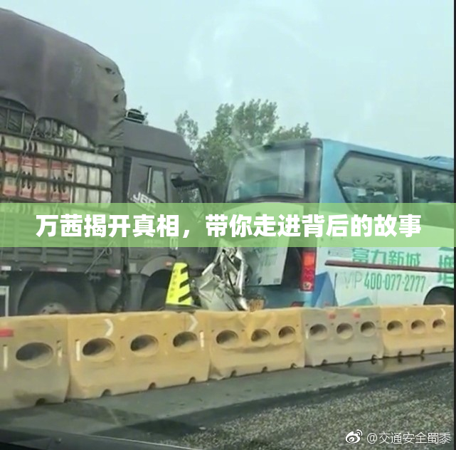 万茜揭开真相，带你走进背后的故事
