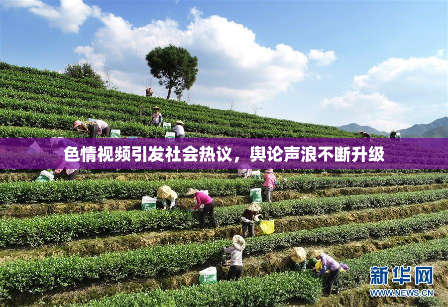色情视频引发社会热议，舆论声浪不断升级