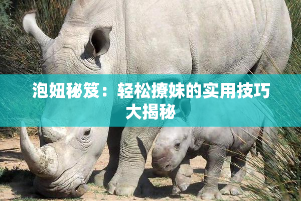 泡妞秘笈：轻松撩妹的实用技巧大揭秘