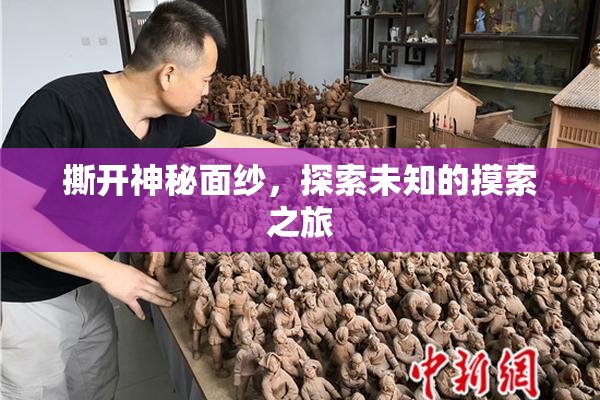 撕开神秘面纱，探索未知的摸索之旅