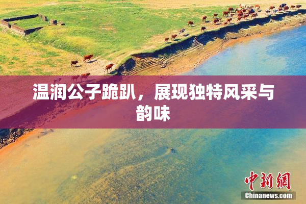 温润公子跪趴，展现独特风采与韵味