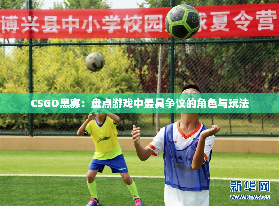 CSGO黑寡：盘点游戏中最具争议的角色与玩法