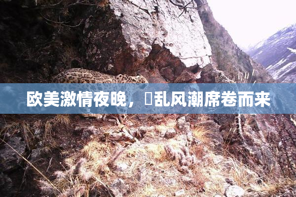 欧美激情夜晚，婬乱风潮席卷而来