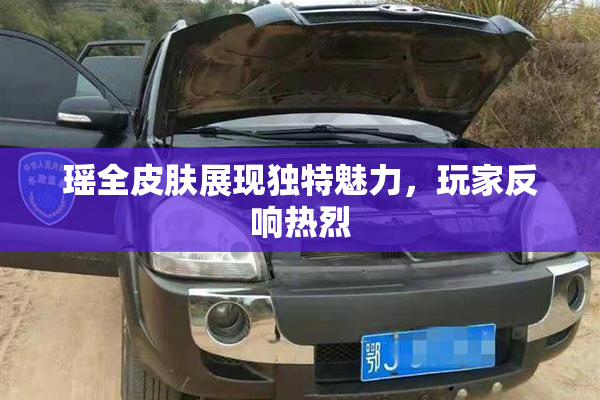 瑶全皮肤展现独特魅力，玩家反响热烈
