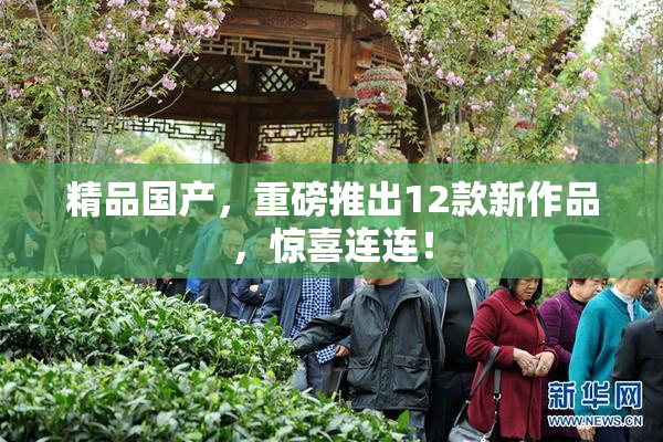 精品国产，重磅推出12款新作品，惊喜连连！