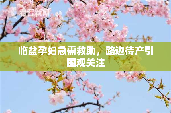 临盆孕妇急需救助，路边待产引围观关注