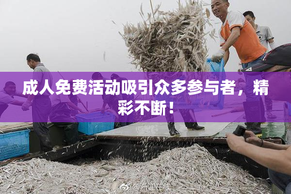 成人免费活动吸引众多参与者，精彩不断！