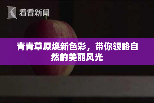 青青草原焕新色彩，带你领略自然的美丽风光