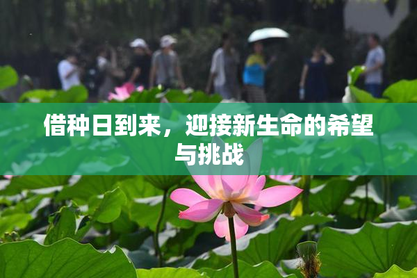 借种日到来，迎接新生命的希望与挑战