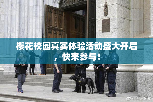 樱花校园真实体验活动盛大开启，快来参与！