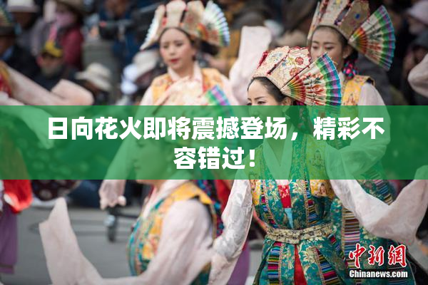 日向花火即将震撼登场，精彩不容错过！