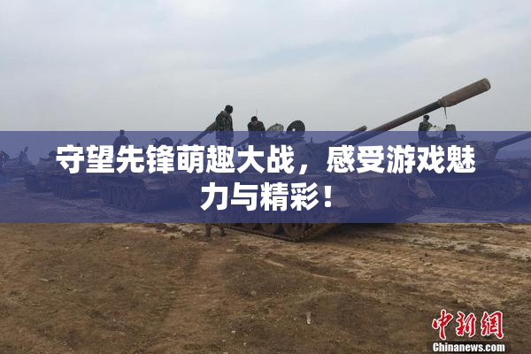 守望先锋萌趣大战，感受游戏魅力与精彩！