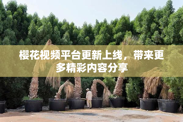 樱花视频平台更新上线，带来更多精彩内容分享