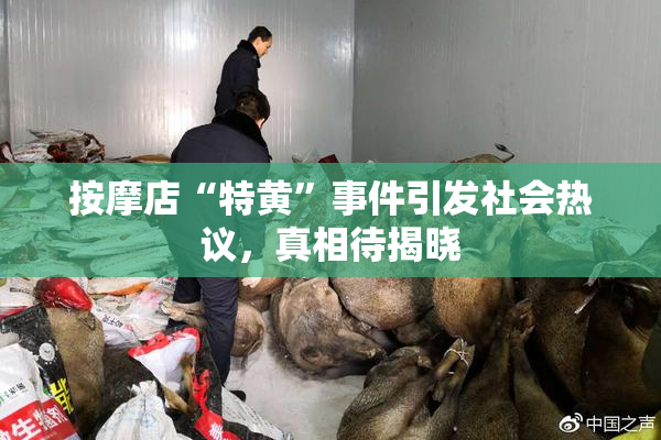 按摩店“特黄”事件引发社会热议，真相待揭晓