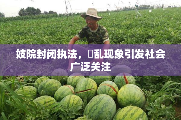 妓院封闭执法，婬乱现象引发社会广泛关注