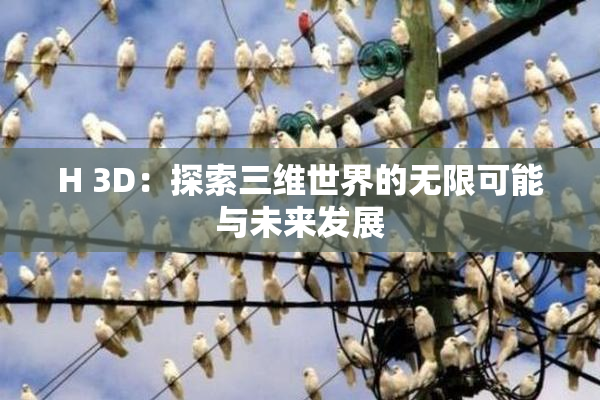 H 3D：探索三维世界的无限可能与未来发展