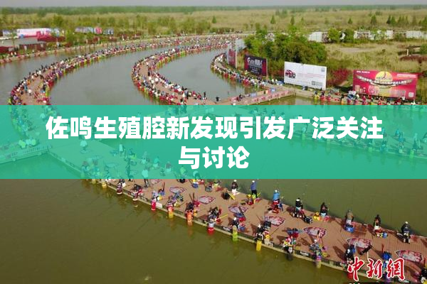 佐鸣生殖腔新发现引发广泛关注与讨论