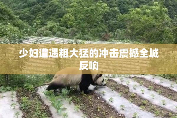 少妇遭遇粗大猛的冲击震撼全城反响