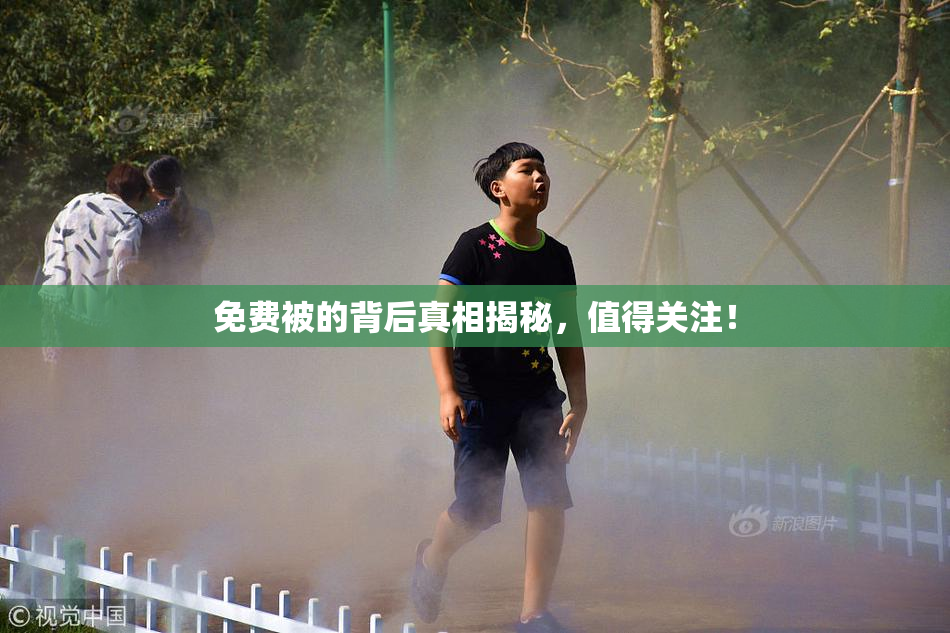 免费被的背后真相揭秘，值得关注！
