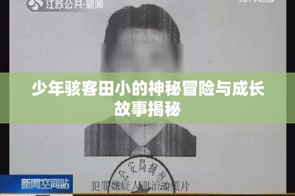 少年骇客田小的神秘冒险与成长故事揭秘