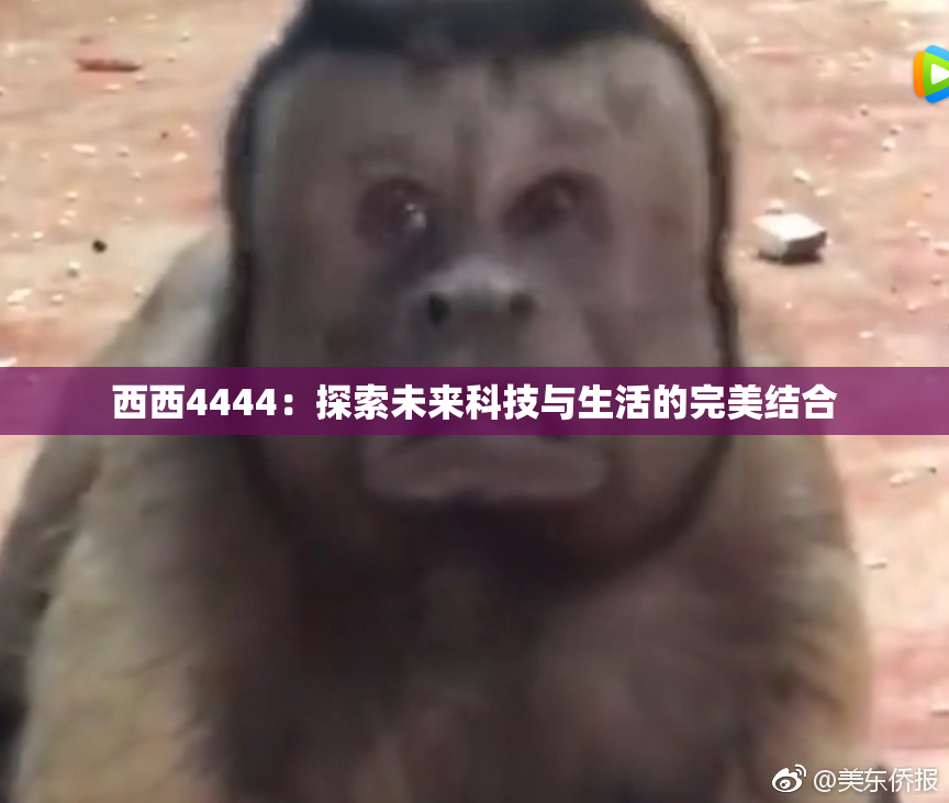 西西4444：探索未来科技与生活的完美结合