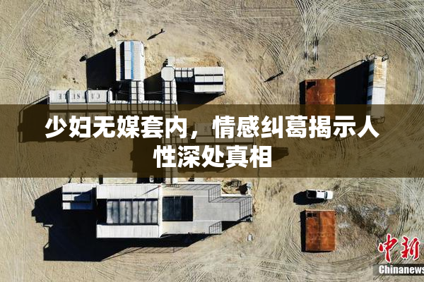 少妇无媒套内，情感纠葛揭示人性深处真相
