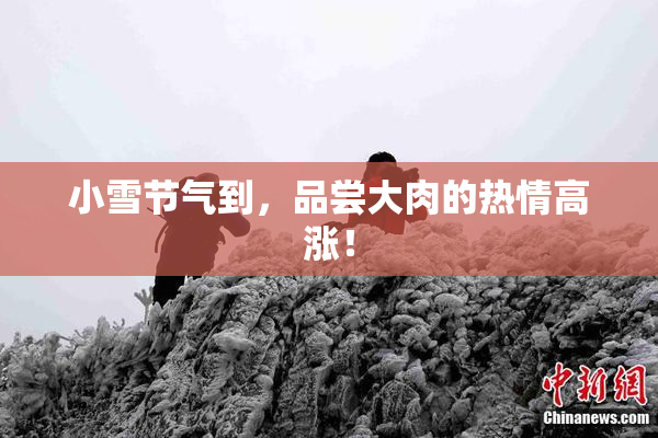小雪节气到，品尝大肉的热情高涨！