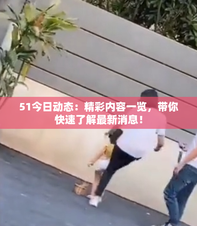 51今日动态：精彩内容一览，带你快速了解最新消息！