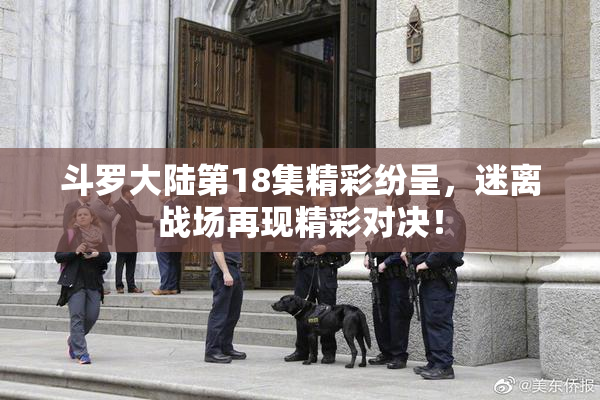斗罗大陆第18集精彩纷呈，迷离战场再现精彩对决！