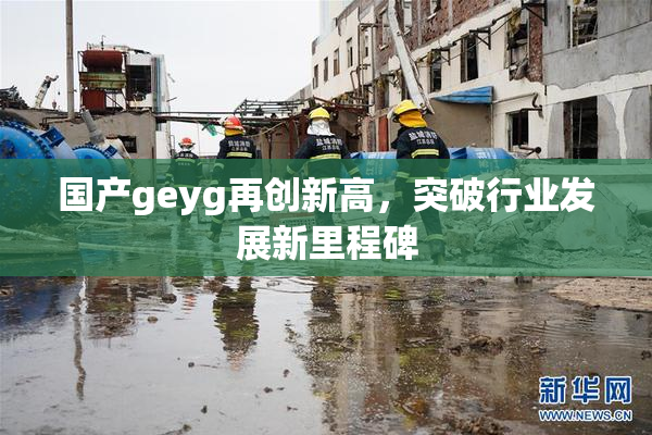 国产geyg再创新高，突破行业发展新里程碑