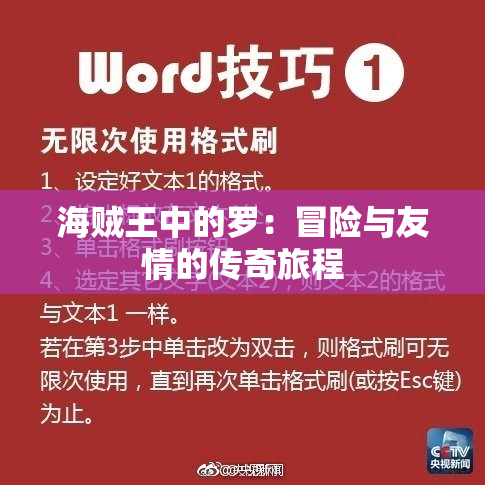 海贼王中的罗：冒险与友情的传奇旅程