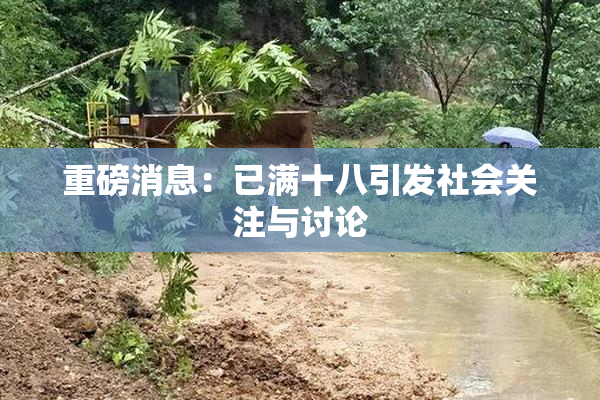 重磅消息：已满十八引发社会关注与讨论