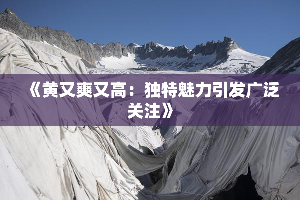 《黄又爽又高：独特魅力引发广泛关注》