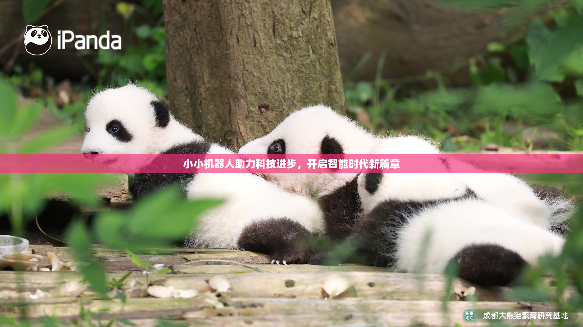 小小机器人助力科技进步，开启智能时代新篇章