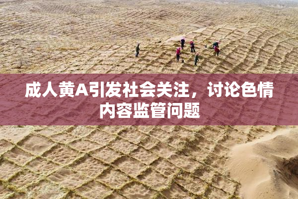 成人黄A引发社会关注，讨论色情内容监管问题