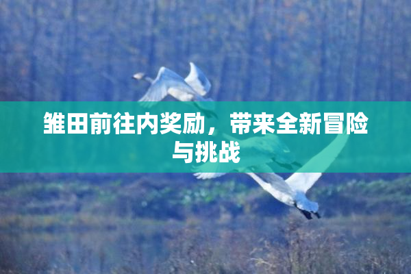 雏田前往内奖励，带来全新冒险与挑战