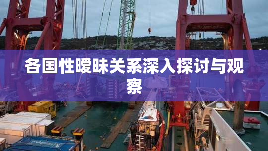 各国性暧昧关系深入探讨与观察