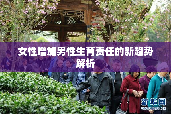 女性增加男性生育责任的新趋势解析