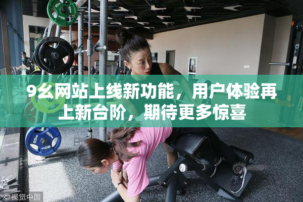 9幺网站上线新功能，用户体验再上新台阶，期待更多惊喜