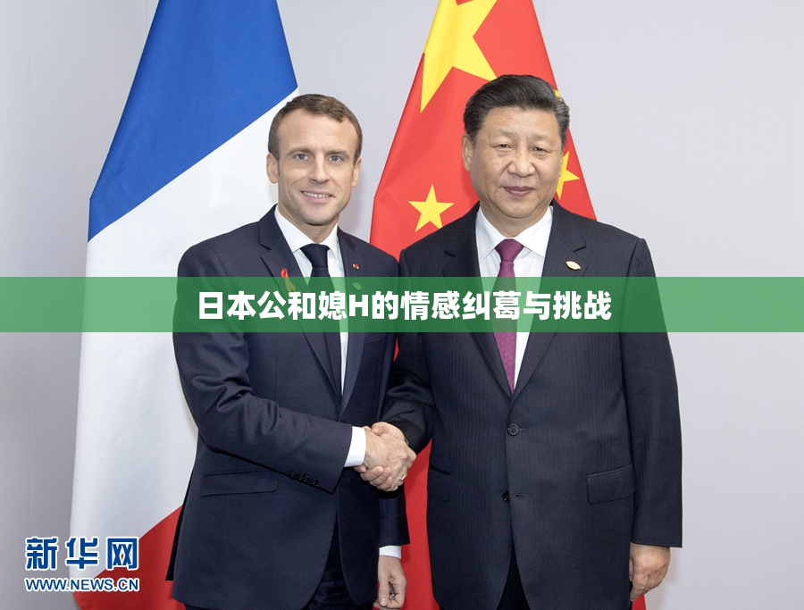 日本公和媳H的情感纠葛与挑战