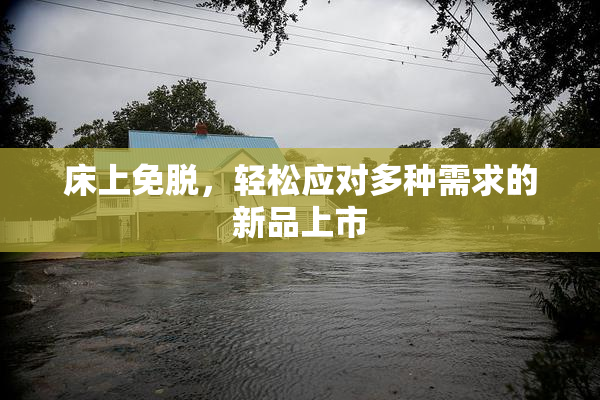 床上免脱，轻松应对多种需求的新品上市