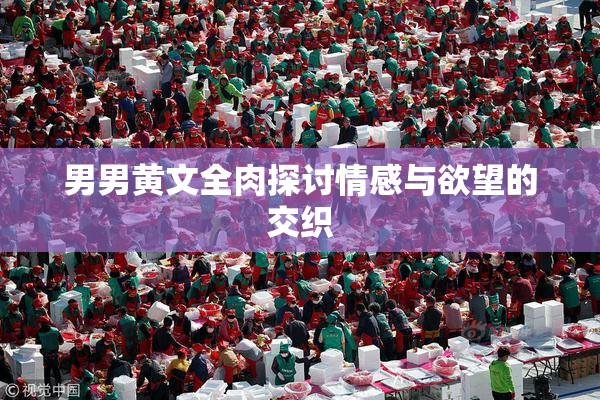 男男黄文全肉探讨情感与欲望的交织