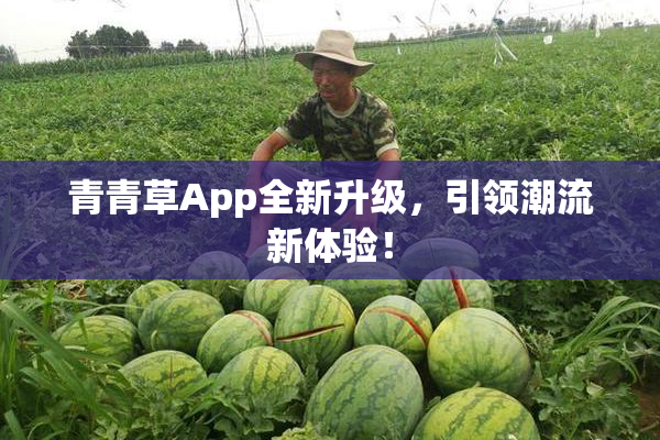 青青草App全新升级，引领潮流新体验！