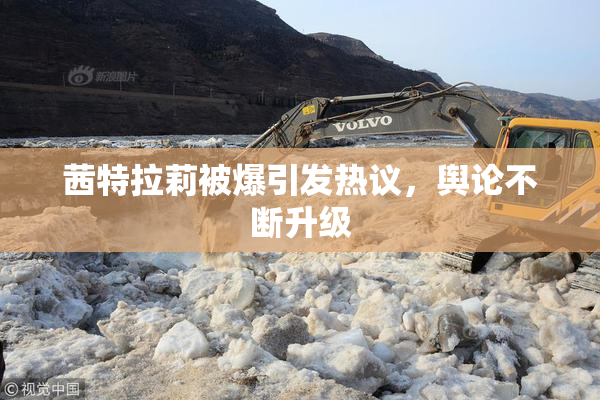 茜特拉莉被爆引发热议，舆论不断升级