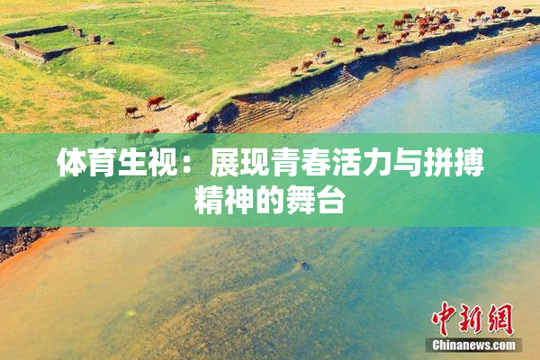体育生视：展现青春活力与拼搏精神的舞台