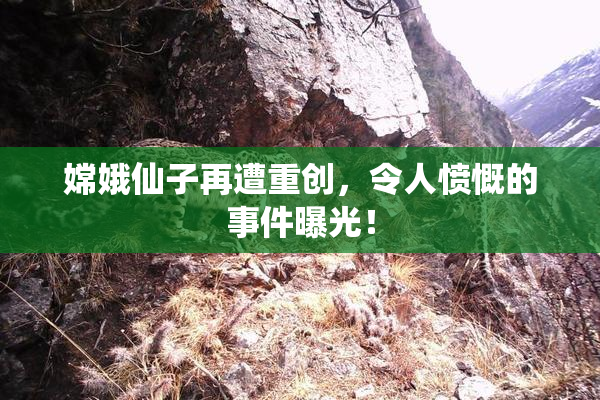 嫦娥仙子再遭重创，令人愤慨的事件曝光！