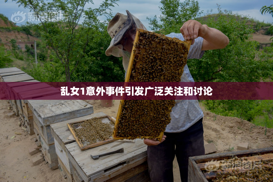 乱女1意外事件引发广泛关注和讨论