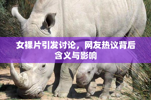 女裸片引发讨论，网友热议背后含义与影响