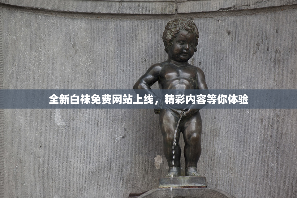 全新白袜免费网站上线，精彩内容等你体验